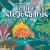 En Lille Stegosaurus - Bog
