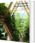 Evergreen Architecture Overgrown Buildings And Greener Living - English Book