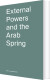 External Powers And The Arab Spring - English Book