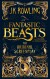 Fantastic Beasts And Where To Find Them The Original Screenplay - English Book