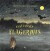Fantastiske Flagermus - Bog