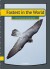 Fastest In The World - English Book