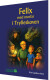 Felix Og Morfar I Trylleskoven - Bog