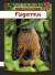 Flagermus - Bog