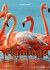 Flamingo - Bog