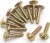 Flange Head Self Tapping Screws Pwtho26 12Mm - 540057 - Blackzon