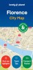Florence City Map - Lonely Planet