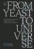 From Yeast To Universe - English Book