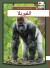 Gorilla - Arabisk - Bog