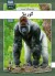 Gorilla - Pashto - Bog