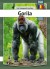 Gorilla - Rumænsk - Bog