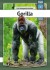 Gorilla - Somali - Bog