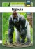 Gorilla - Ukrainsk - Bog
