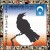Black Crowes - Greatest Hits 1990-1999 - CD