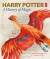 Harry Potter - A History Of Magic The Book Of The Exhibition - English Book