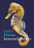 Havets Hemmeligheder - Bog