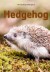 Hedgehog - English Book