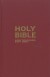 Holy Bible - New International Version - English Book