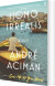 Homo Irrealis Essays - English Book