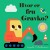 Hvor Er Fru Gravko - Bog