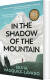 In The Shadow Of The Mountain - English Book