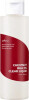 Isntree - Chestnut Bha 2 Clear Liquid - 100 Ml