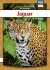 Jaguar - Polsk - Bog
