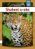 Jaguar - Somali - Bog