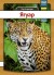 Jaguar - Ukrainsk - Bog
