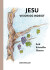 Jesu Vision Og Indsigt - Bog
