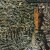 Siouxsie And The Banshees - Juju - Vinyl Lp
