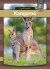 Kangaroo - English Book