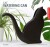Kikkerland - Kat-Vandkande - 1025 X 15 X 9