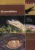 Killer Instinct - Krokodiller - DVD