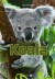 Koala - Bog