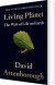 Living Planet The Web Of Life On Earth - English Book