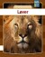 Løver - Bog