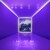 Fall Out Boy - Mania - Vinyl Lp