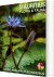 Mauritius Flora Fauna - Bog