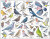 Maxi Puslespil Havefugle - 69 Brikker 365X285 Cm