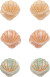 Mimi Lula - 6 Hårklemmer - Mini Shell Ocean Pearl