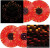 Minecraft Volume Beta - Vinyl Lp