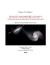 Non-Standard Relativity - English Book