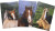 Notesbog A5 126 X 180 Mm - Hestemotiv 100254