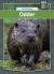 Odder - Bog