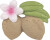 Oli Carol - Bidering - Aly The Almond