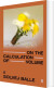 On The Calculation Of Volume Ii - English Book