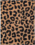 Ooh Noo - Leopardmønstret Babytæppe - Brun - 75 90 Cm