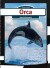 Orca - Bog