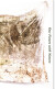 Our Future With Nature - English Book
